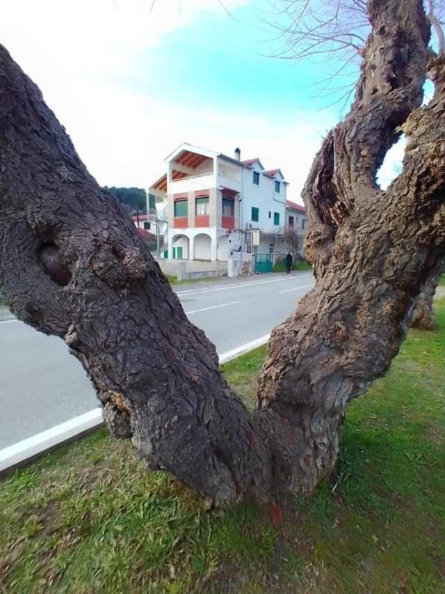 Apartments Pulic سكرادين المظهر الخارجي الصورة